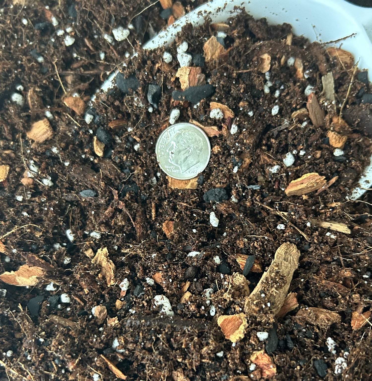 Growing Mediums & Supplies