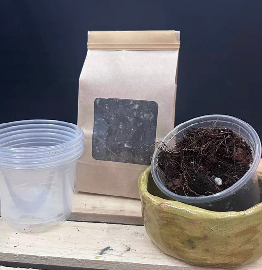 Pot Me Up Kit - Potting Kit