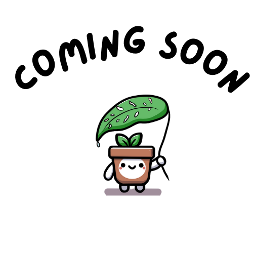 Chilean Long Fiber Sphagnum Moss sold by the quart